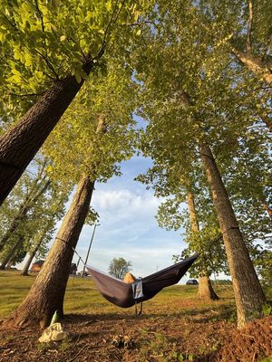 Image post by @enohammocks on Instagram
