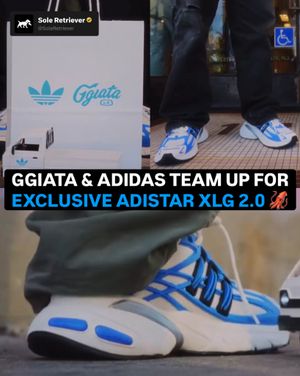 Image post by @soleretriever on Instagram