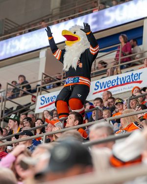 Image post by @icyfwkomets on Instagram