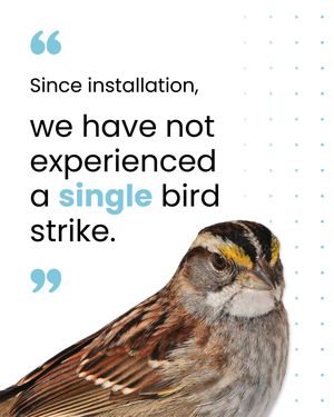 Image post by @featherfriendly on Instagram