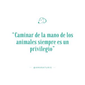 Image post by @amanaturis on Instagram