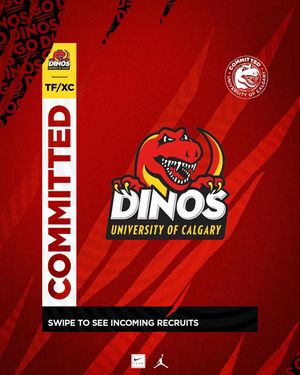 Image post by @dinostfxc on Instagram