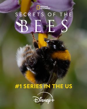 Image post by @natgeotv on Instagram