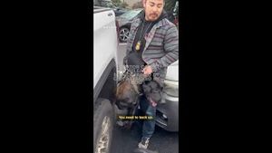 Video post by @cnn on YouTube