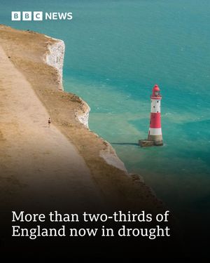 Image post by @bbcnews on Instagram