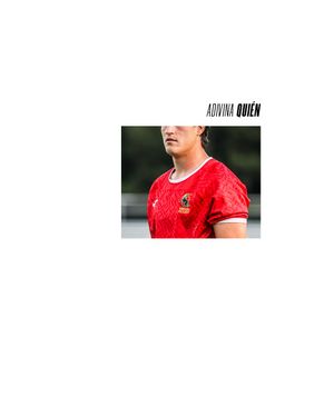Image post by @ferugby on Instagram