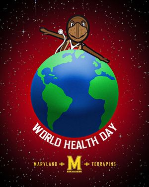Image post by @marylandterrapins on Instagram