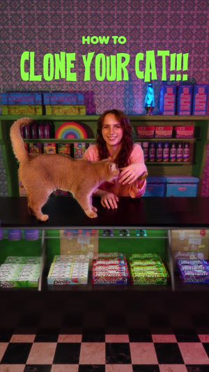 Video post by @hallietut on TikTok