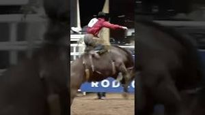 Video post by @officialcowboychannel on YouTube