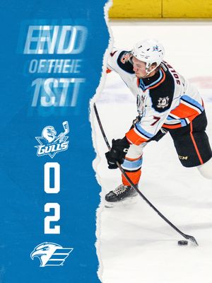 Image post by @SDGullsAHL on Twitter