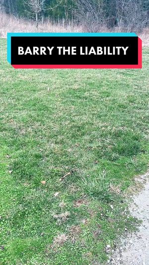 Video post by @seansvv on TikTok