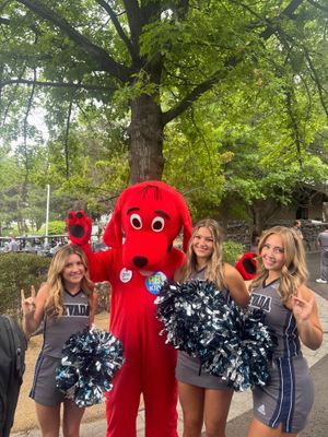 Image post by @nevadacheerleading on Instagram