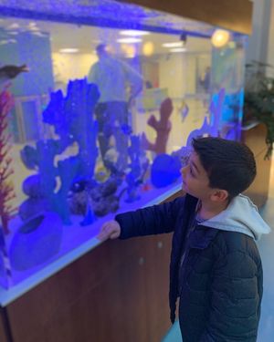 Image post by @cohen_childrens on Instagram