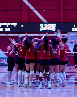 Image post by @lmulionswvb on Instagram