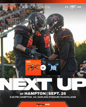 Image post by @gocamelsfb on Instagram