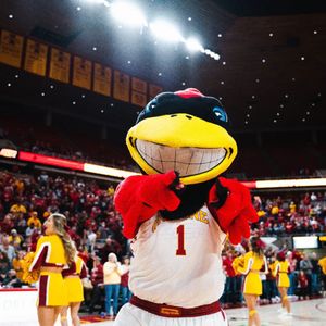 Image post by @themascotcy on Instagram