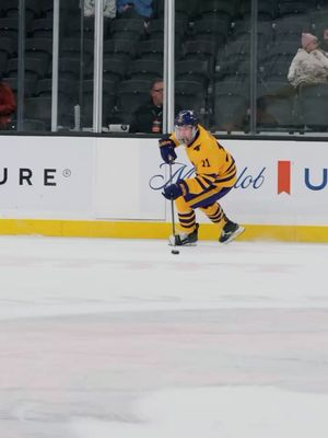 Image post by @flohockey on Instagram