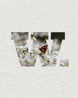 Image post by @wabashcollege on Instagram