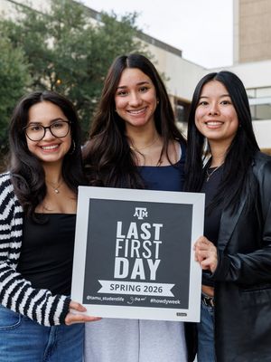 Image post by @tamu on Instagram