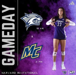 Image post by @stonehillvb on Instagram