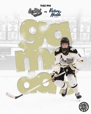 Image post by @honeybakedhc on Instagram