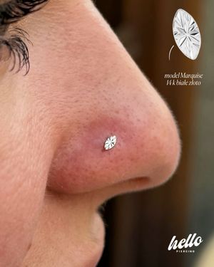 Image post by @hello.piercing.studio on Instagram
