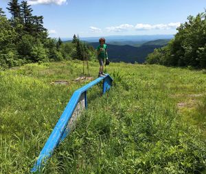 Image post by @noahavallone on Instagram