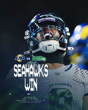 Image post by @seahawks on Instagram