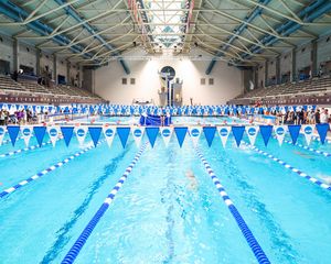 Image post by @gatorsswimdv on Instagram