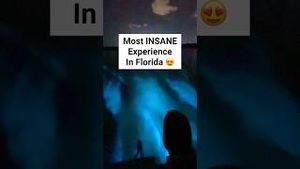 Video post by @followmeaway on YouTube