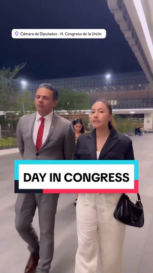 Video post by @katvoltage on TikTok