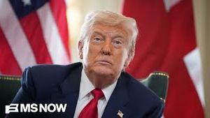 Video post by @msnbc on YouTube