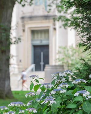 Image post by @harvard on Instagram