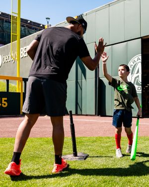 Image post by @saltlakebees on Instagram