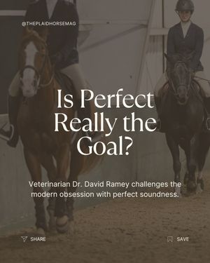 Image post by @theplaidhorsemag on Instagram