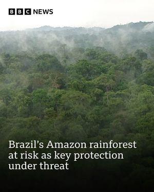 Image post by @bbcnews on Instagram