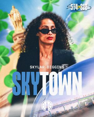 Image post by @chicagosky on Twitter