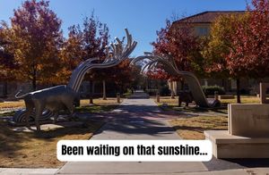 Image post by @tturawlscollege on Instagram