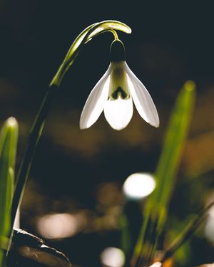 Image post by @cristan.nature.photography on Instagram