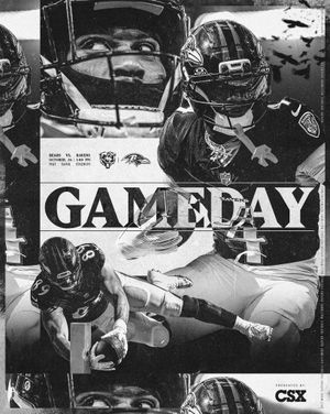 Image post by @ravens on Instagram