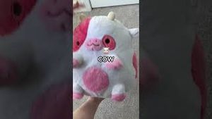 Video post by @Shopzoki  on YouTube