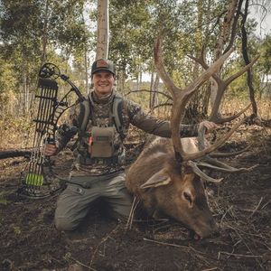 Image post by @truetimbercamo on Instagram