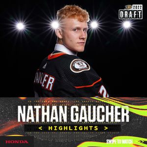 Image post by @anaheimducks on Instagram