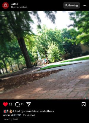 Video post by @uofsc on TikTok