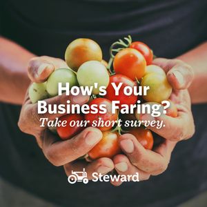 Image post by @steward on Instagram
