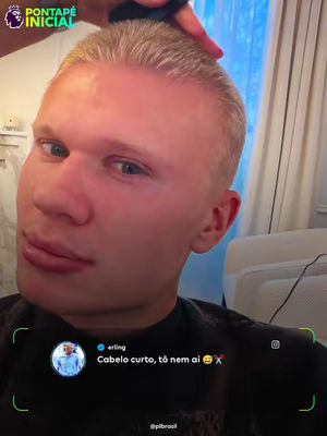 Image post by @plbrasil on TikTok