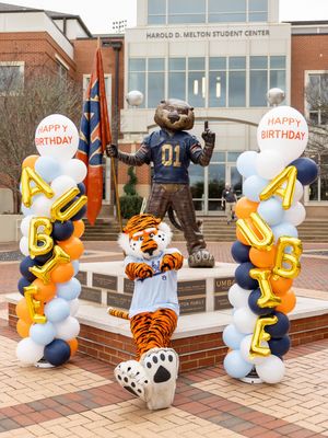Image post by @aubiethetiger01 on Instagram