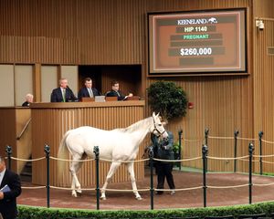 Image post by @keenelandsales on Twitter