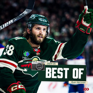 Image post by @minnesotawild on Instagram