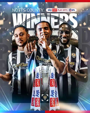 Image post by @efl on TikTok